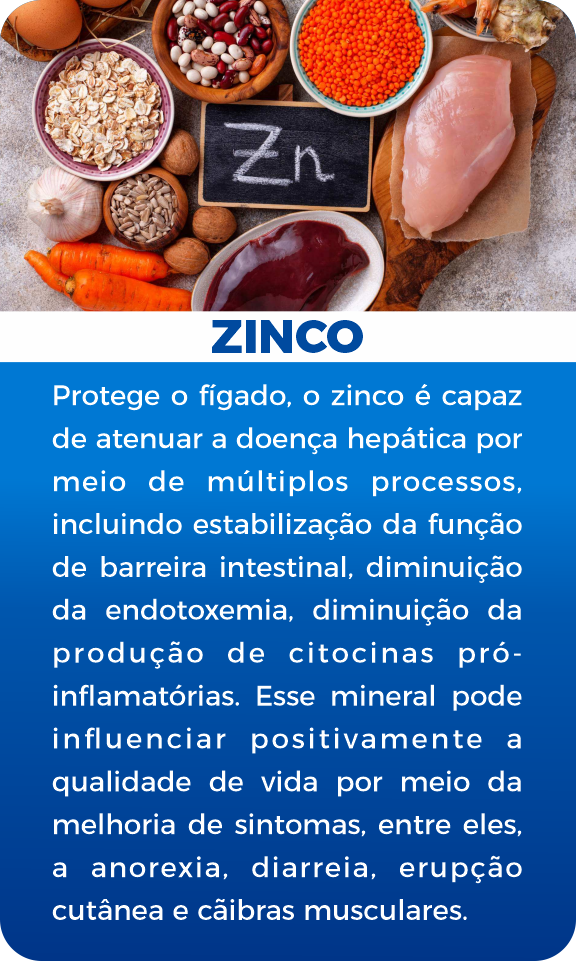 Zinco2
