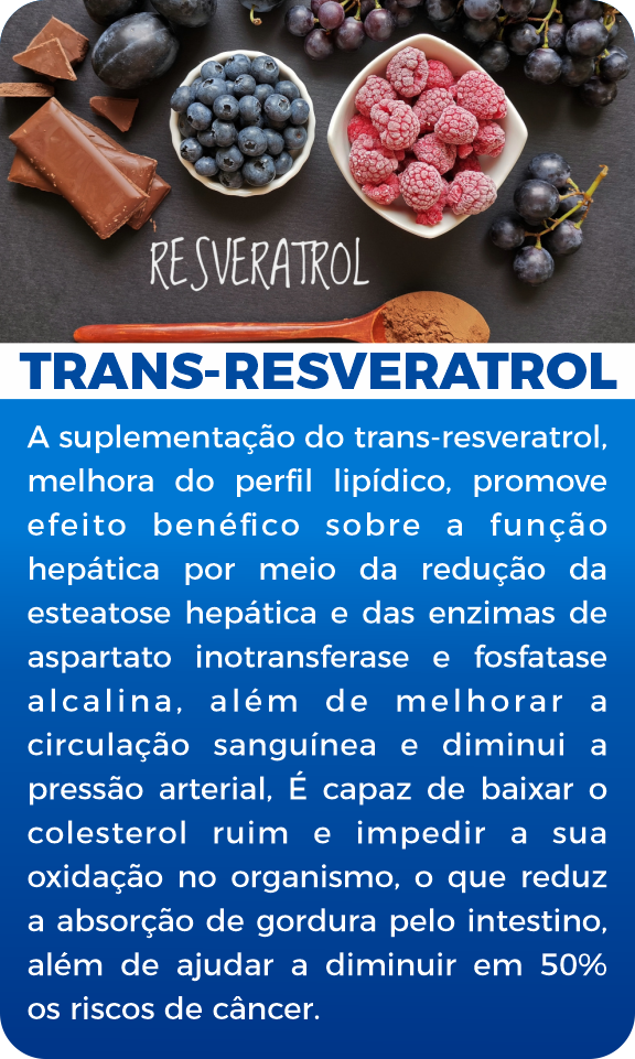 trans4